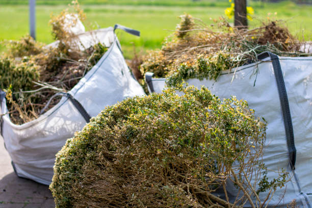 Best Electronics Removal Services  in Carthage, NY